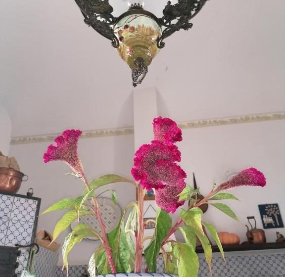 בית מלון כפרי Agriturismo Baglio Calanchi