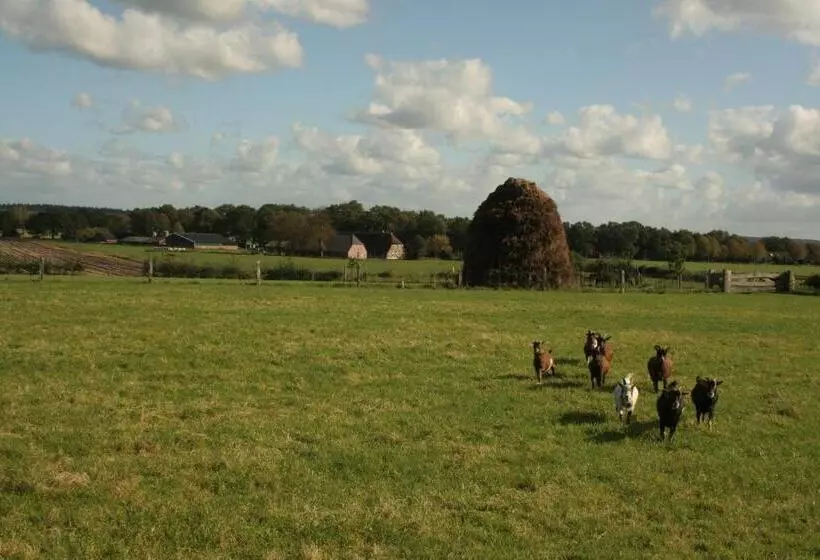 ホテル Het Spijkerhuys