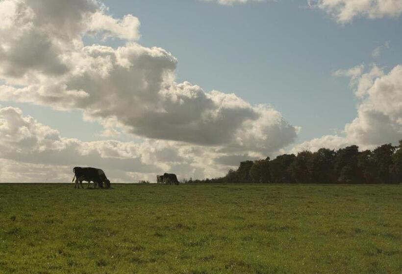 호텔 Het Spijkerhuys