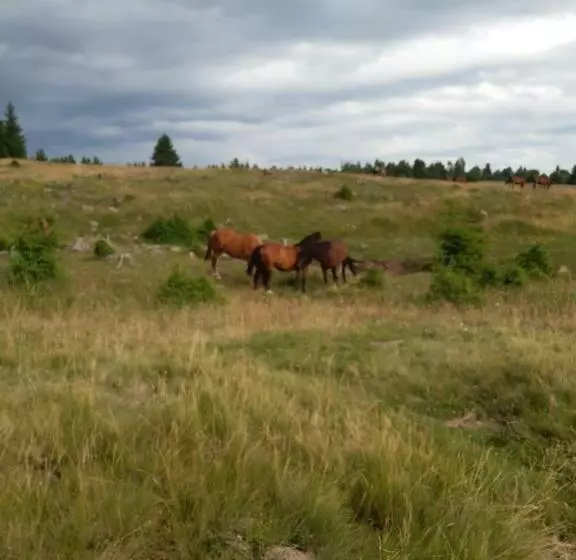 Majatalo Hajnal Vendégház