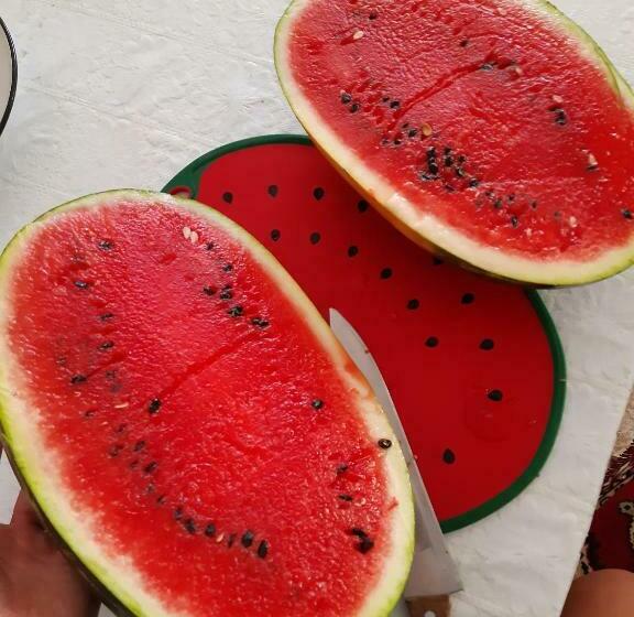 펜션 Hajnal Vendégház