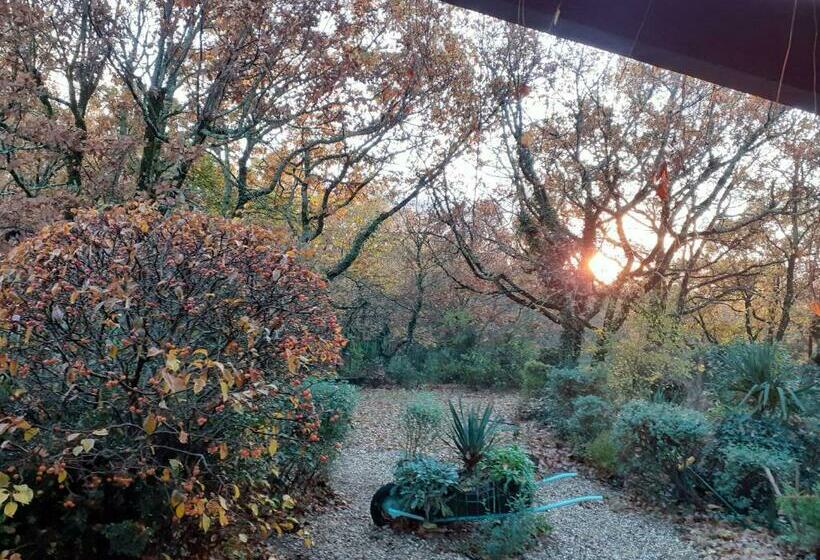 פנסיון La Bergerie