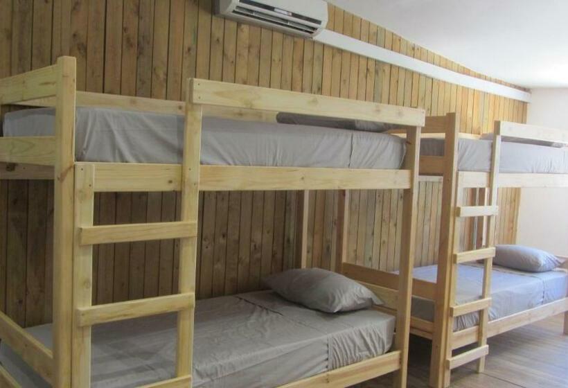 旅馆 Blue Rock Accommodation