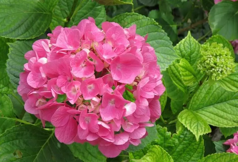 Aamiaismajoitus (B&B) Chez Cécile Et Mickaël