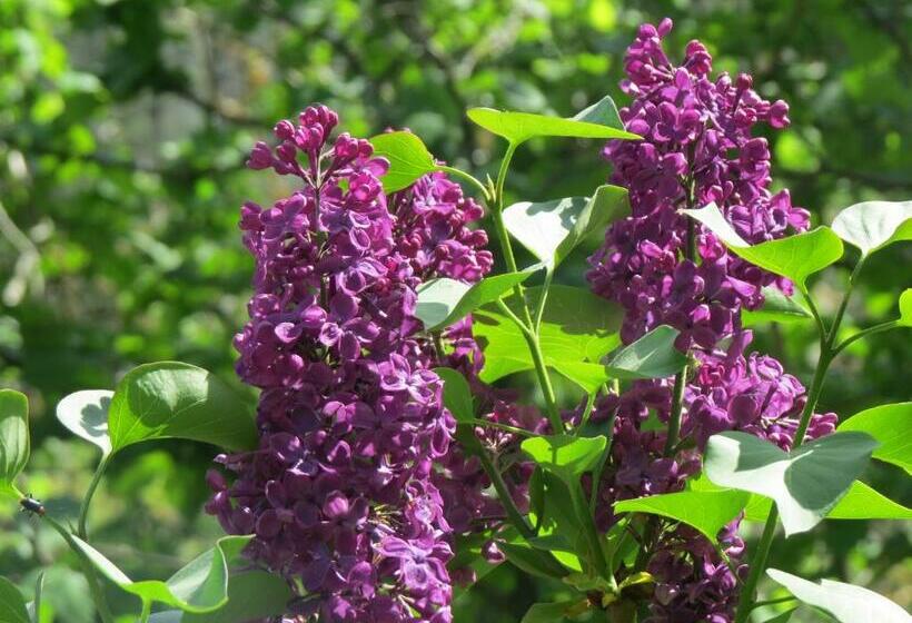 Bed and Breakfast Chez Cécile Et Mickaël