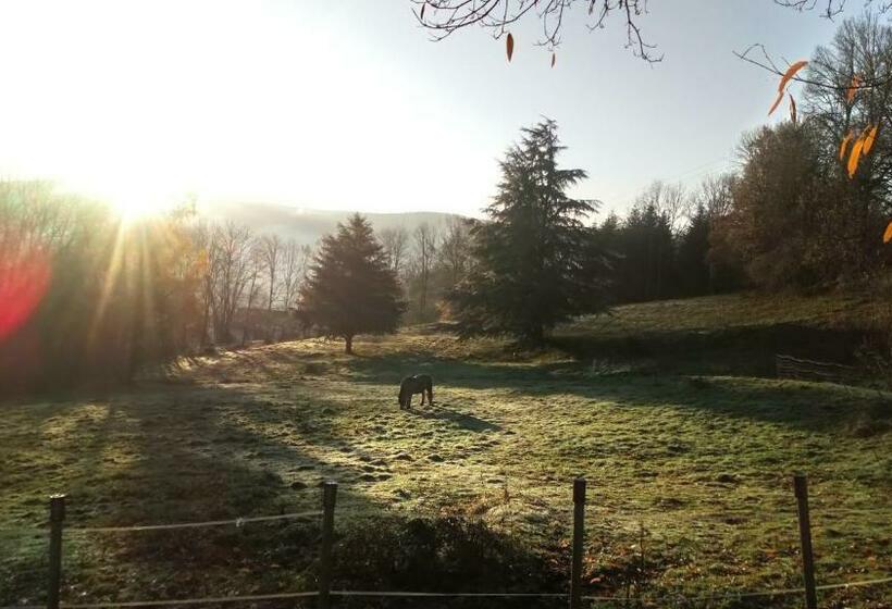 ベッドアンドブレックファースト La Grange Du Kerala