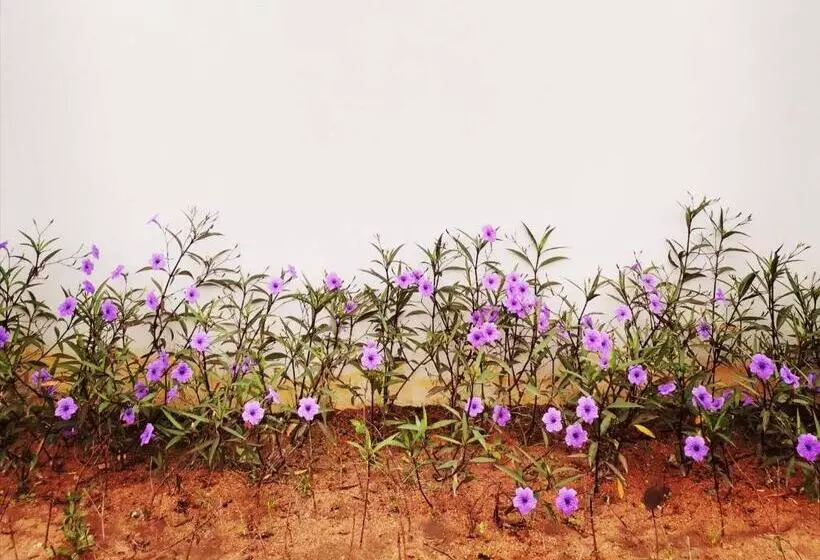 Aamiaismajoitus (B&B) Nararin Garden House