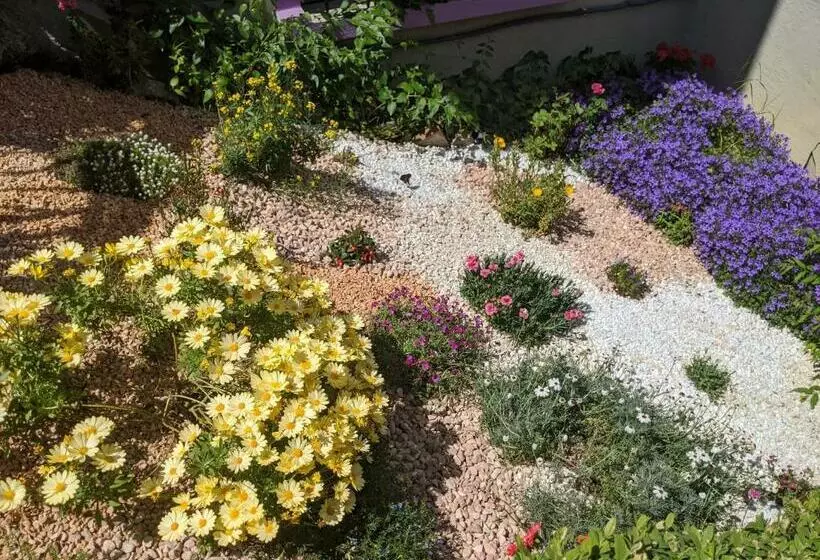 ベッドアンドブレックファースト Nel Giardino Di Oz