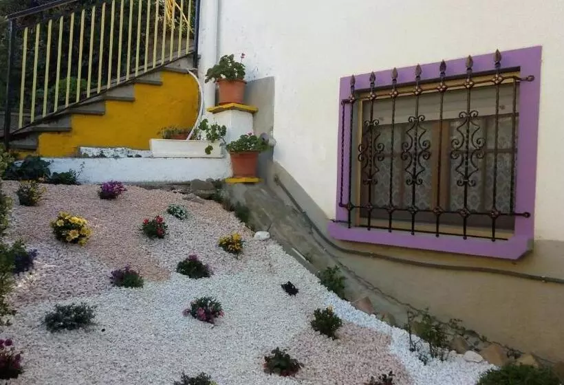 ベッドアンドブレックファースト Nel Giardino Di Oz