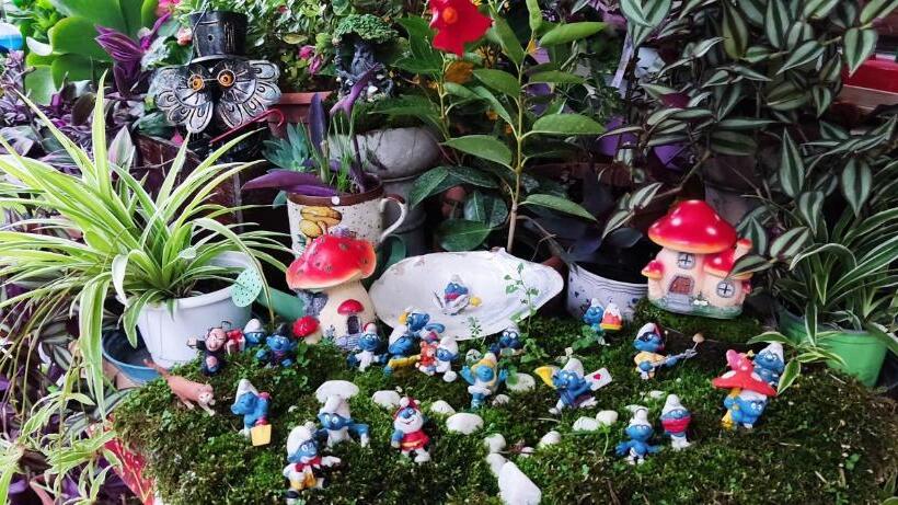 צימר Nel Giardino Di Oz