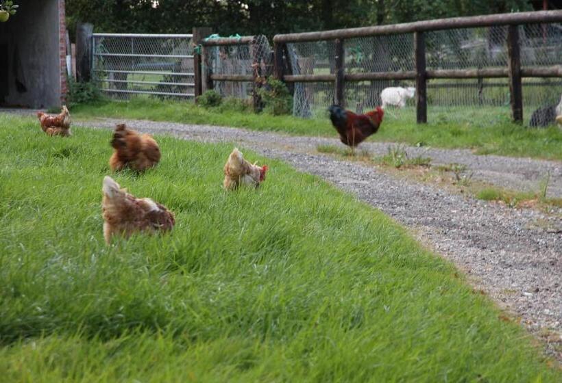 ベッドアンドブレックファースト Onder De Boom