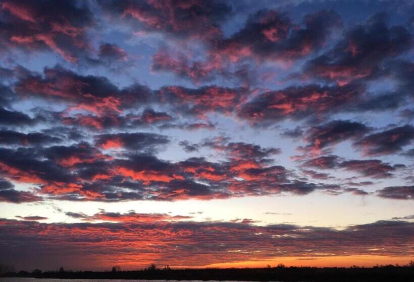 ベッドアンドブレックファースト Onder De Boom