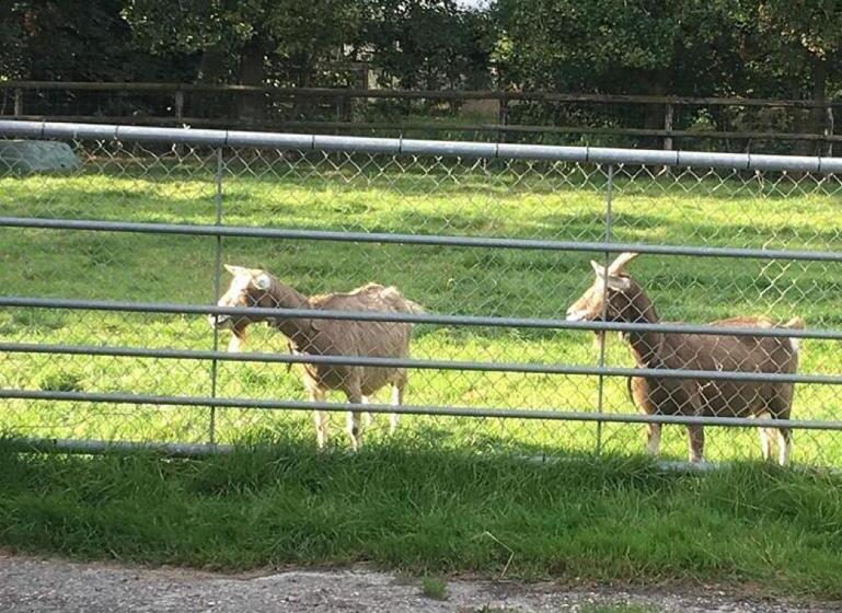 ベッドアンドブレックファースト Onder De Boom