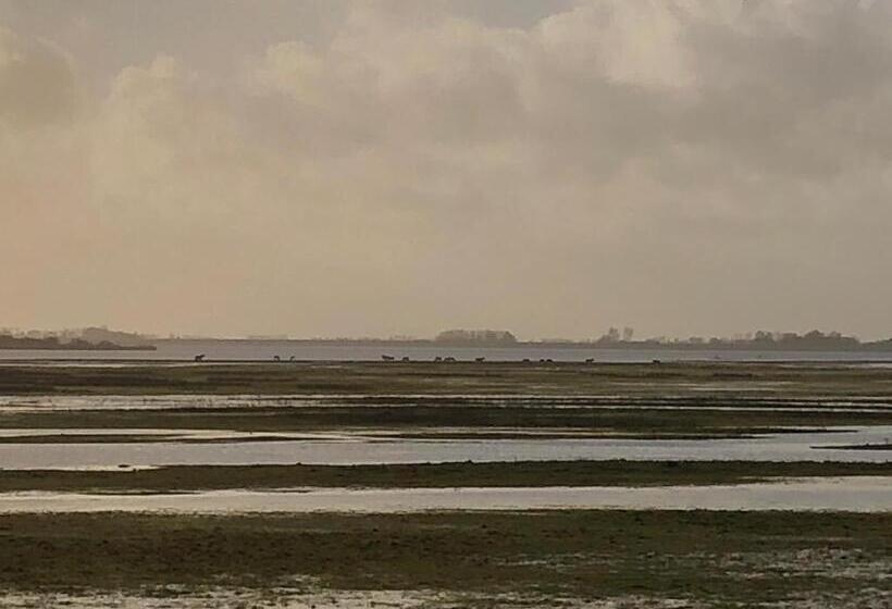 ベッドアンドブレックファースト Onder De Boom