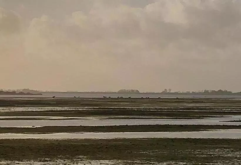Aamiaismajoitus (B&B) Onder De Boom