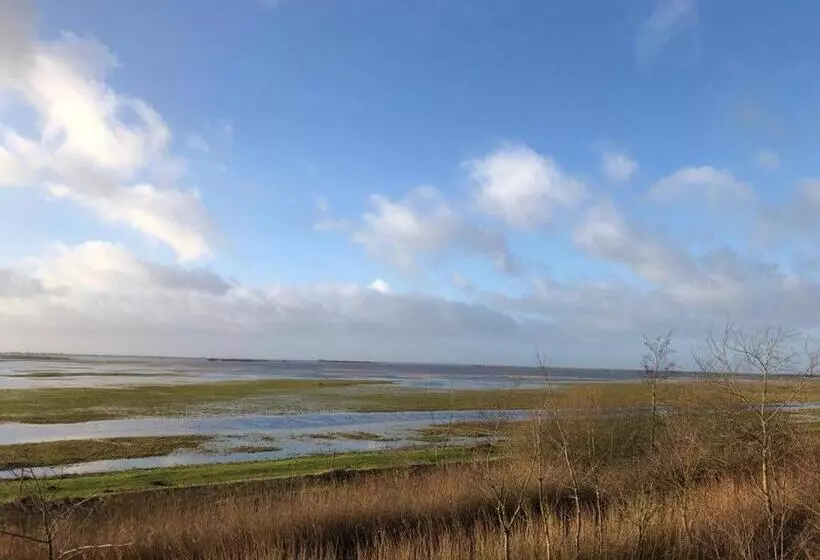 Aamiaismajoitus (B&B) Onder De Boom
