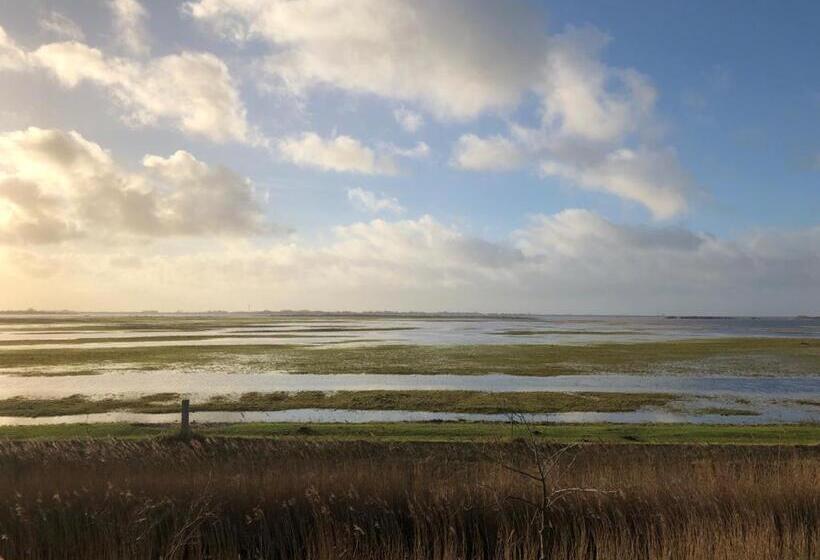 ベッドアンドブレックファースト Onder De Boom