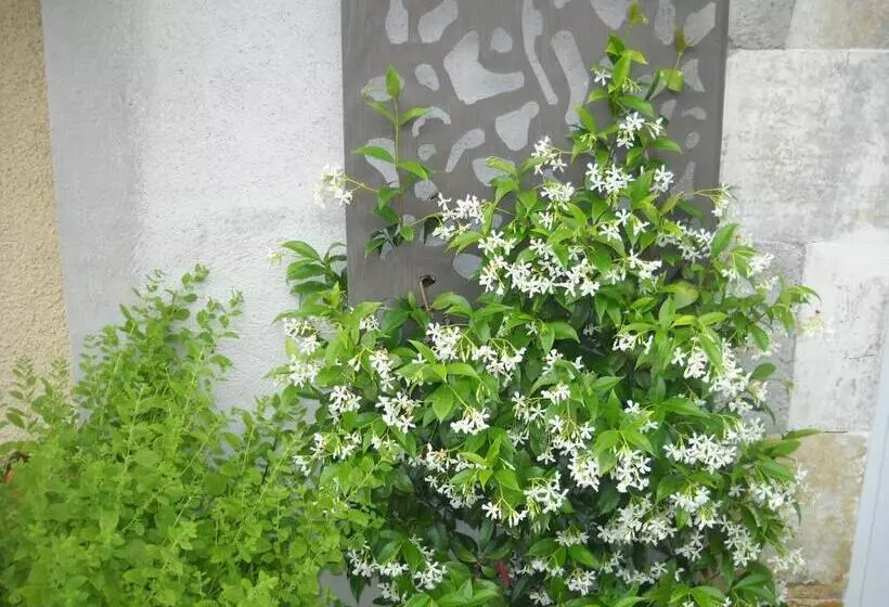 Aamiaismajoitus (B&B) Relais Des Vignottes