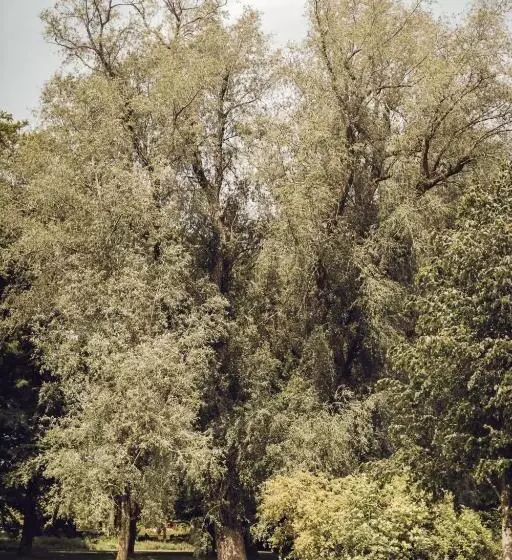 فندق Arnbjerg Pavillonen