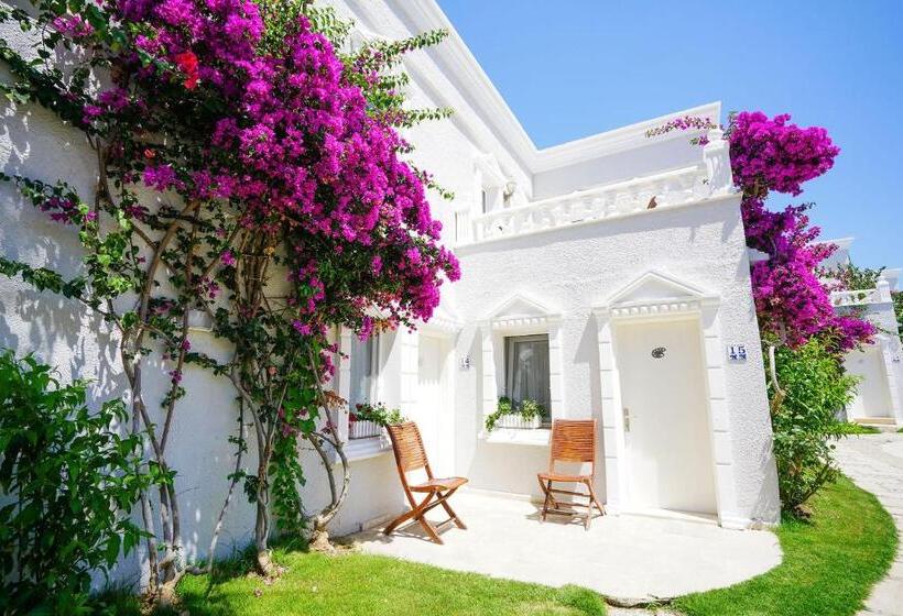 Отель Art Suites