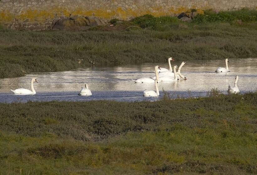 Brit Hotel & Spa Côte Des Sables