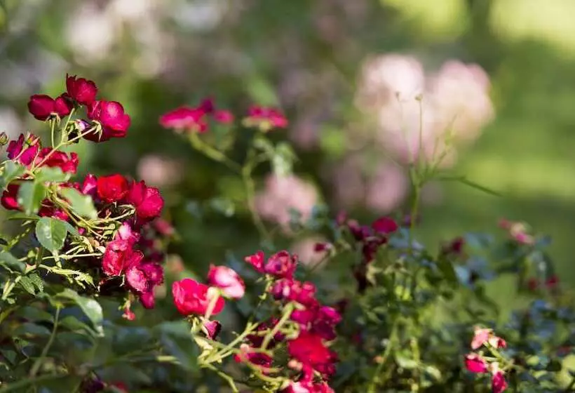 ホテル Gutshof Wolfgangsee Resort & Event