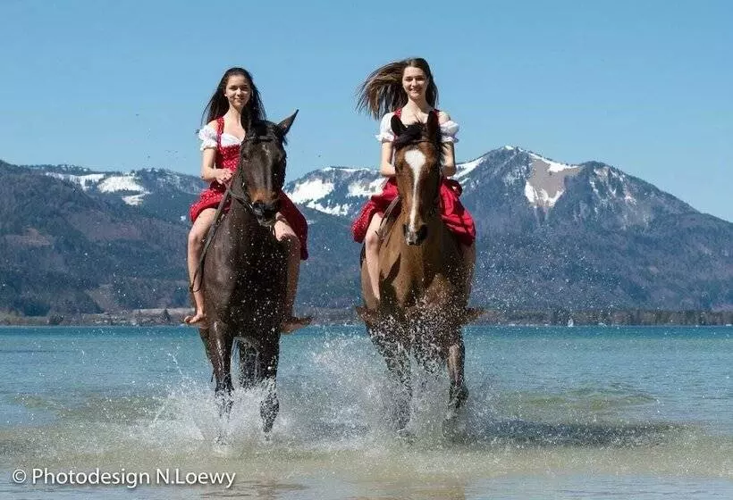 ホテル Gutshof Wolfgangsee Resort & Event