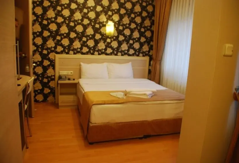 Hotel Mini