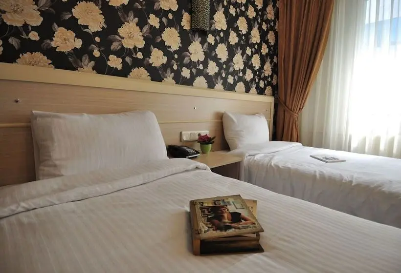 Hotel Mini