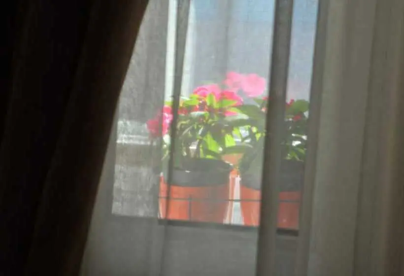 Hotel Mini