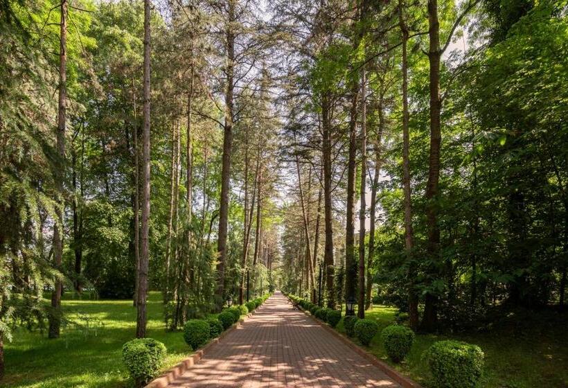 فندق Ng Sapanca Wellness & Convention