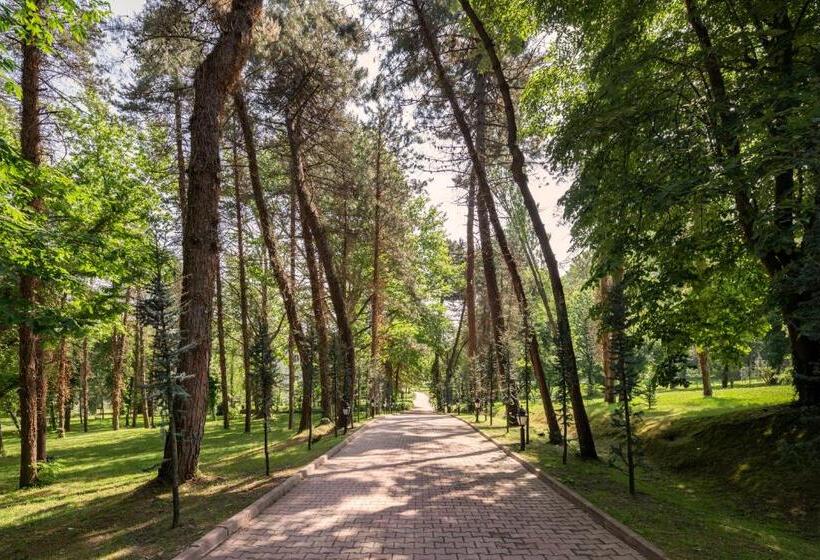 فندق Ng Sapanca Wellness & Convention