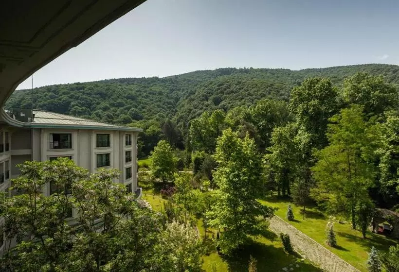 酒店 Ng Sapanca Wellness & Convention