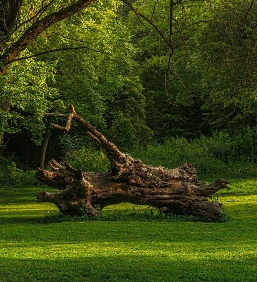 فندق Ng Sapanca Wellness & Convention