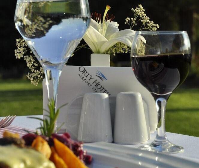 Отель Orty Airport