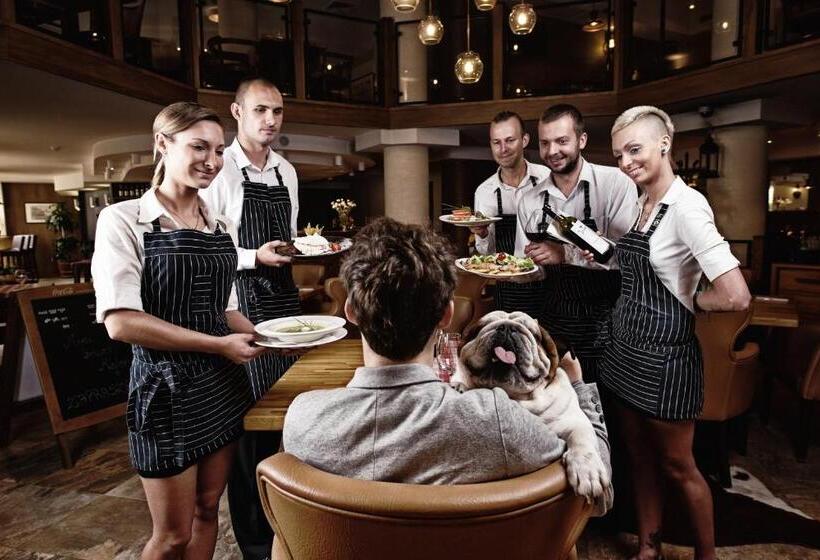 Отель Silvia Gold Gliwice