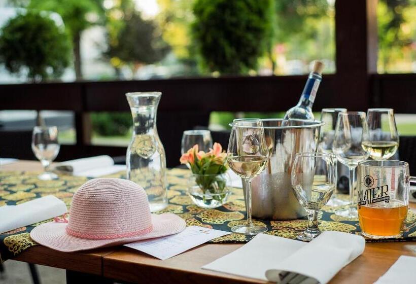 Отель Silvia Gold Gliwice