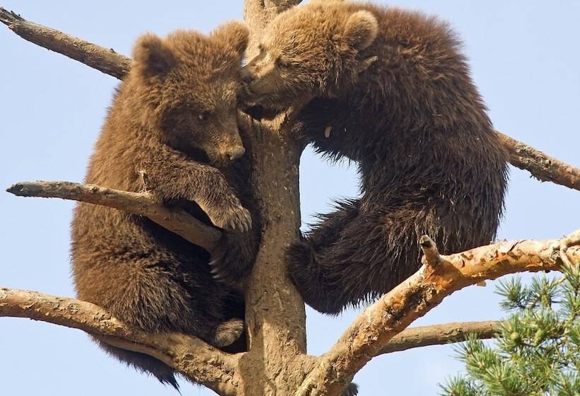 Thon Hotel Bjørneparken