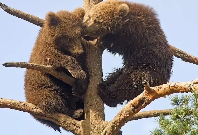 Thon Hotel Bjørneparken