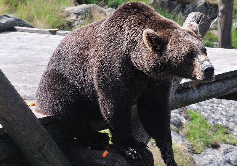 Thon Hotel Bjørneparken