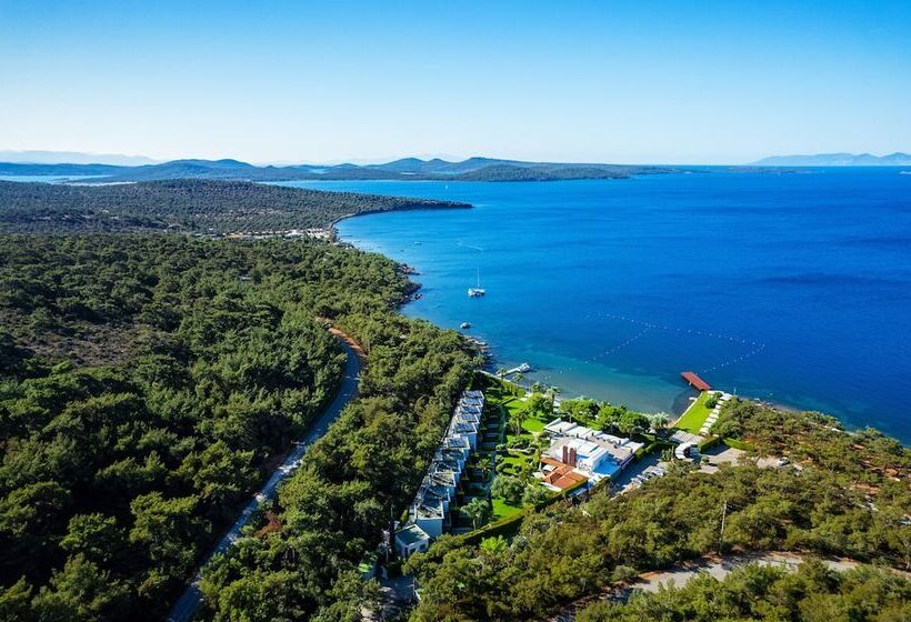 Ortunc Hotel   Boutique Class