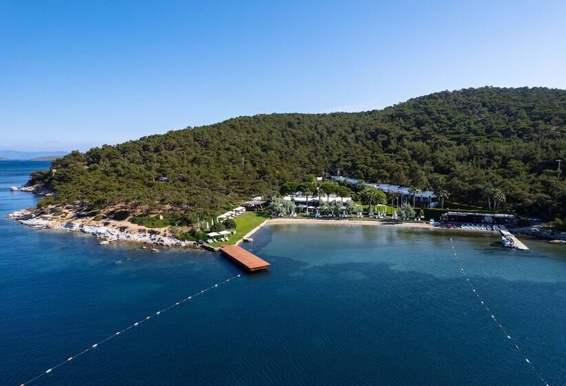 Ortunc Hotel   Boutique Class