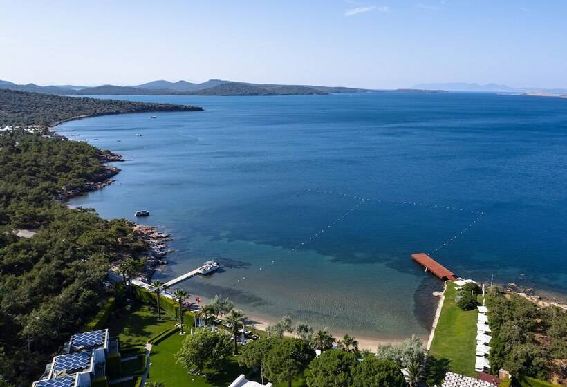 Ortunc Hotel   Boutique Class