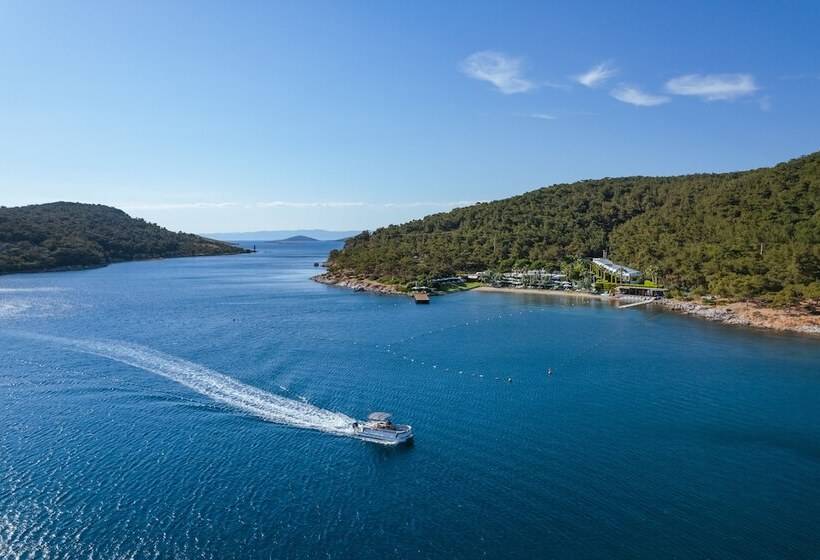 Ortunc Hotel   Boutique Class