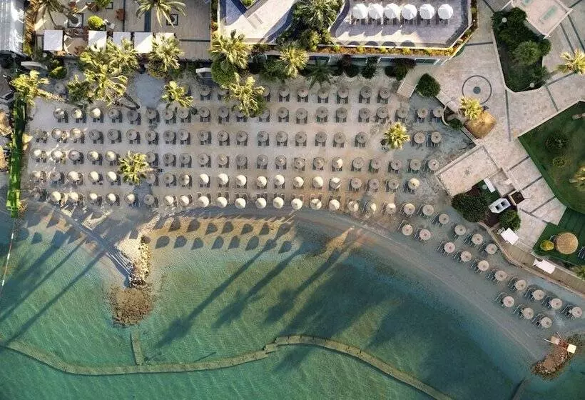 Lomakeskus Tui Magic Life Bodrum Adults Only