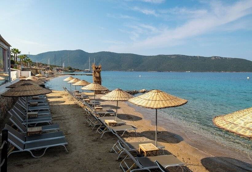منتجع Tui Magic Life Bodrum   Adults Only