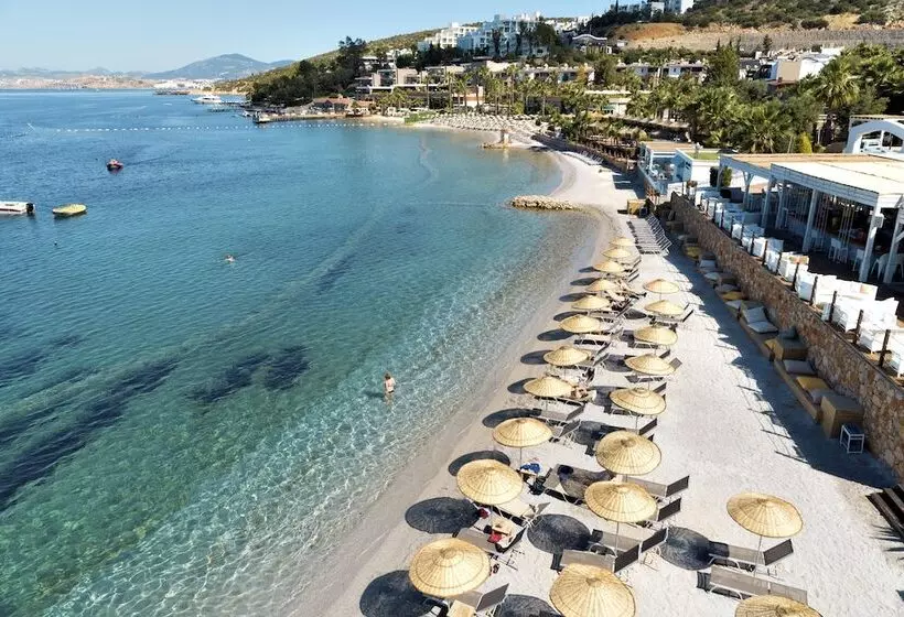Lomakeskus Tui Magic Life Bodrum Adults Only