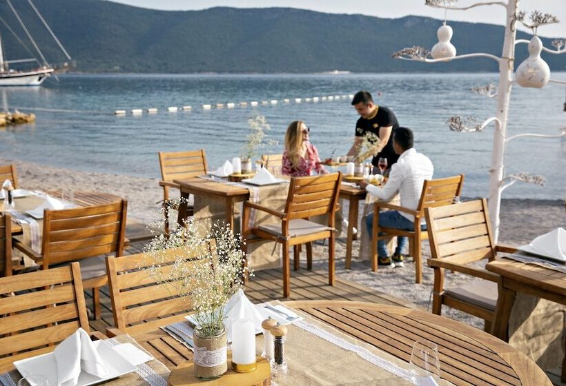 منتجع Tui Magic Life Bodrum   Adults Only