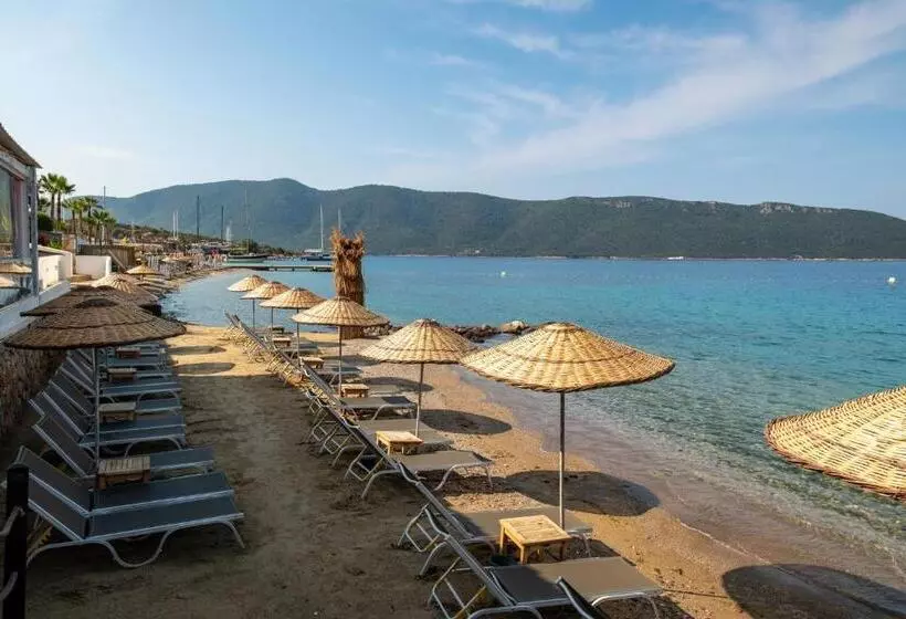 Lomakeskus Tui Magic Life Bodrum Adults Only