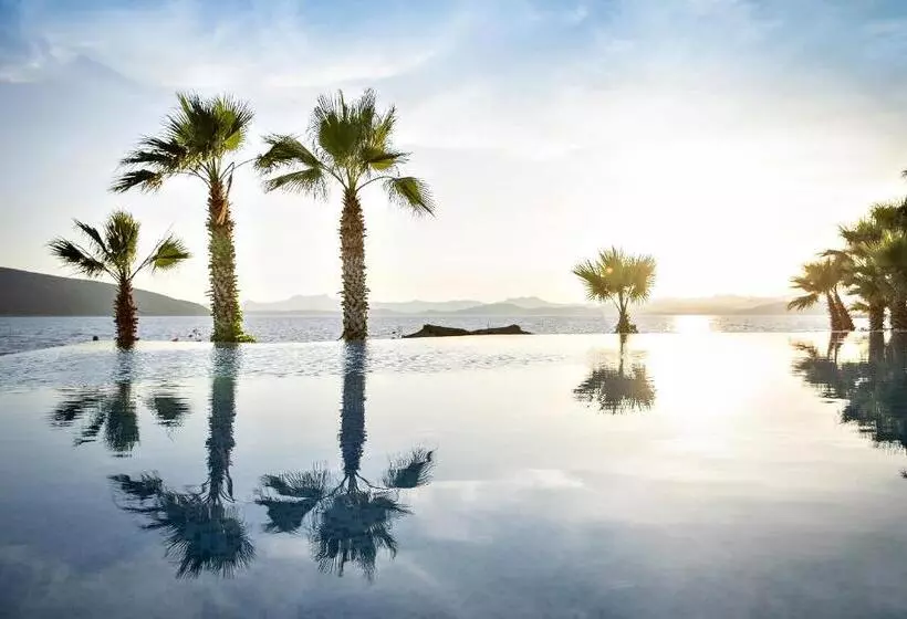 Lomakeskus Tui Magic Life Bodrum Adults Only